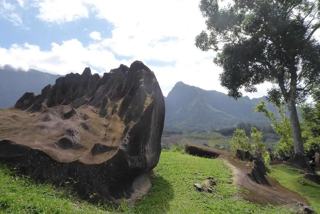 Raiatea, Opoa, Studio Du Fare Reve, Acces Mer Privatif Apartamento